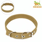 Ошейник брезентовый двухслойный, 58×2.5 см, песочный - Фото 2