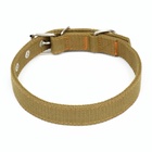 Ошейник брезентовый двухслойный, 58×2.5 см, песочный - Фото 3