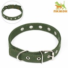 Ошейник брезентовый безразмерный двухслойный, 58 х 2,5 см, хаки - фото 24361253