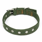 Ошейник брезентовый безразмерный двухслойный, 58 х 2,5 см, хаки - фото 24361254