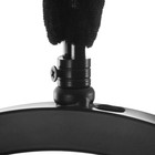 Люстра "Сомелье" 10хЕ27 40Вт черный 83х30х40-140см - фото 23437293