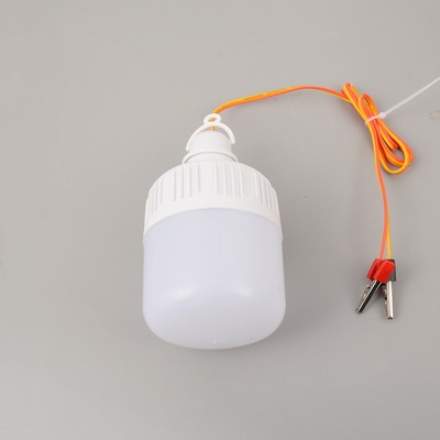 Фонарь кемпинговый, 10 Вт, SMD 2835, кабель 1-1.5 м, с зажимом от 12 В, d=7 см