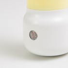 Ночник с датчиком темноты "Милси" LED 1Вт бело-желтый 4х6х10 см RISALUX - Фото 4