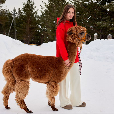 Брюки женские MIST Cozy style, молочные, размер 46