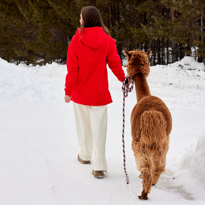 Брюки женские MIST Cozy style, молочные, размер 46