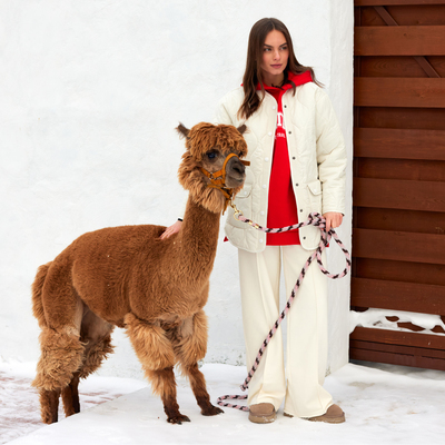 Брюки женские MIST Cozy style, молочные, размер 46