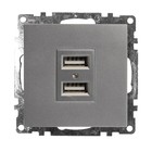 Статический преобразователь: Зарядное устройство: USB-розетка (механизм), GLS10-7115-03, сер 1022737 - фото 296913252