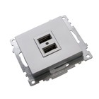 Статический преобразователь: Зарядное устройство: USB-розетка (механизм), GLS10-7115-03, сер 1022737 - фото 8515903
