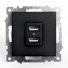 Розетка 2-местная USB (механизм), 250В, 2,1А, серия Катрин, GLS10-7115-05, черный - фото 4155780