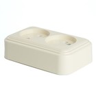 Розетка 2-местная без заземляющего контакта, 250В, 16А, IP20, PST16-30-20 (RA 16-237-БЖ), сл 1022741 10227414 - фото 14268796