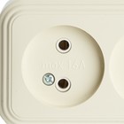 Розетка 2-местная без заземляющего контакта, 250В, 16А, IP20, PST16-30-20 (RA 16-237-БЖ), сл 1022741 10227414 - фото 14268798
