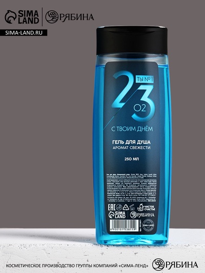 Гель для душа «С 23 февраля», 250 мл, аромат свежести, МИКС, Чистое счастье