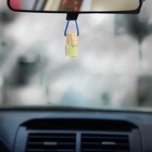 Ароматизатор в машину «Газ в пол», набор 3 шт., аромат яблоко, цитрус, парфюм - Фото 6