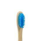Зубная щетка бамбуковая жесткая в коробке, синяя - Фото 2