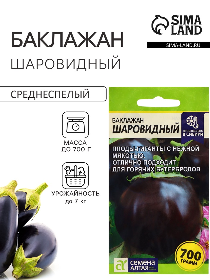 Семена Баклажан «Шаровидный», 0.1 г, «Семена Алтая» - Фото 1