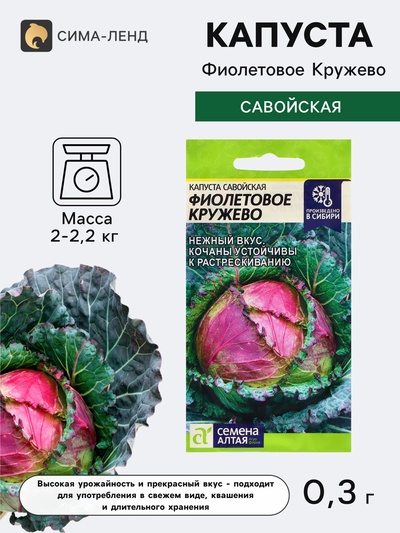 Семена Капуста савойская «Фиолетовое Кружево», 0.3 г, «Семена Алтая»