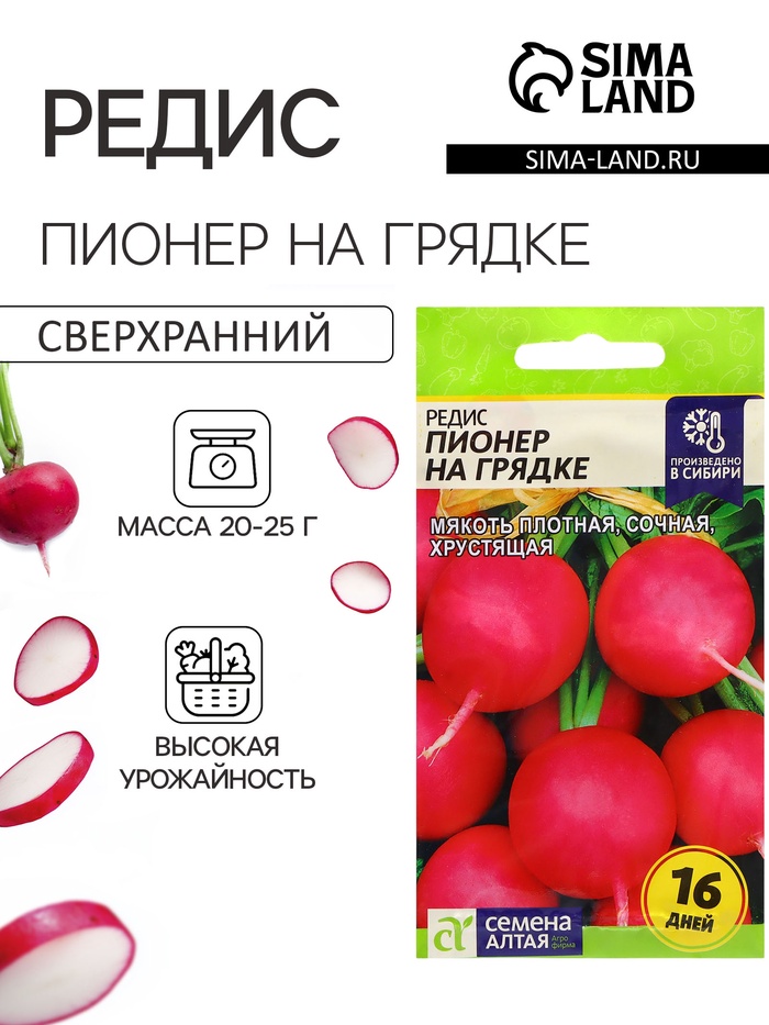 Семена Редис «Пионер на Грядке», 1 г, «Семена Алтая» - Фото 1