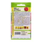 Семена Редис "Пионер на Грядке", ц/п, 1 гр. - Фото 2
