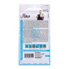 Семена Репа "гейша", 1 г - Фото 2