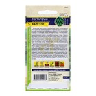 Семена Экзотика Тортарелло Бареззе (Армянский Огурец)/Сем Алт/ц/п 0,3 гр. - Фото 2