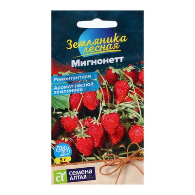Семена Земляника «Мигнонетт», ремонтантная, 5 шт., «Семена Алтая»