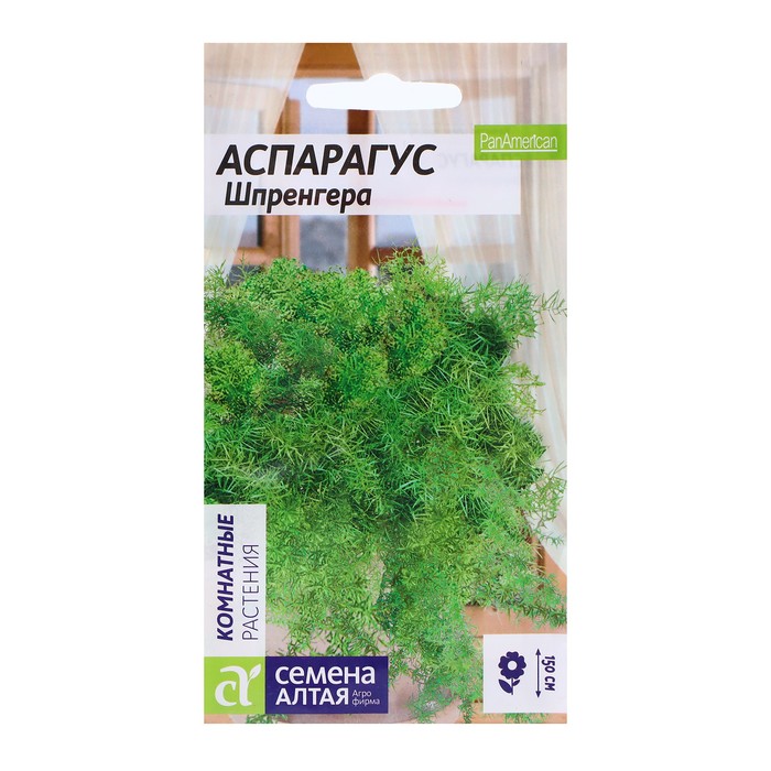 Семена Аспарагус "Шпренггера", ц/п, 5 шт - Фото 1
