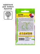 Семена Астра "Страусово Перо", ц/п,  0,3 гр. - фото 50088332