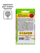 Семена цветов Астра карликовая «Тысяча чудес», карминная, 0.2 г, однолетник, «Семена Алтая» - Фото 5