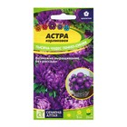 Семена цветов Астра карликовая «Тысяча чудес», тёмно-синяя, 0.2 г, однолетник, «Семена Алтая» - Фото 1