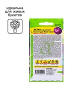Семена цветов Астра карликовая «Тысяча чудес», тёмно-синяя, 0.2 г, однолетник, «Семена Алтая» - Фото 5