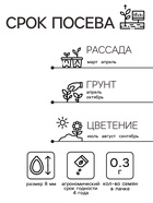 Семена Астра "Художественная", ц/п,  белая, 0,3 гр. 10215955 - фото 14458185