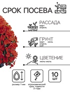 Семена Бальзамин «Супер Эльфин», F1, 10 шт., «Семена Алтая» - Фото 2