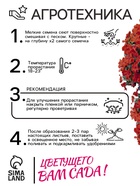 Семена Бальзамин «Супер Эльфин», F1, 10 шт., «Семена Алтая» - Фото 4