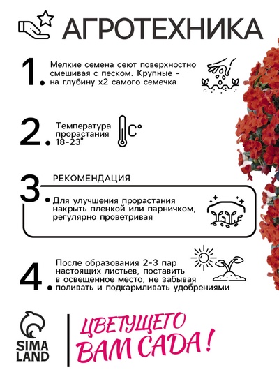 Семена Бальзамин «Супер Эльфин», F1, 10 шт., «Семена Алтая»