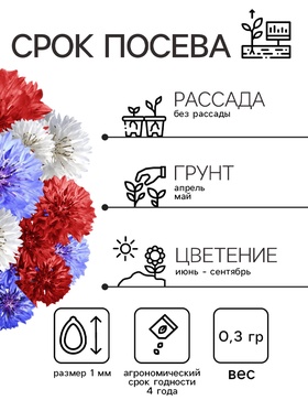 Семена Василек "Летние Каникулы", ц/п,  0,3 гр.