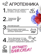 Семена Василек "Летние Каникулы", ц/п,  0,3 гр. 10215969 - фото 16886344