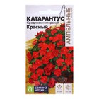 Семена Катарантус «Средиземноморский Красный», 5 шт., «Семена Алтая» - Фото 1
