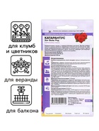 Семена цветов Катарантус "Хит вейв ред", 5 шт 10216004 - фото 13654631
