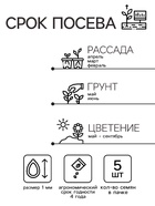 Семена Катарантус "Хит Вейв Эприкот", ц/п, 5 шт - Фото 2