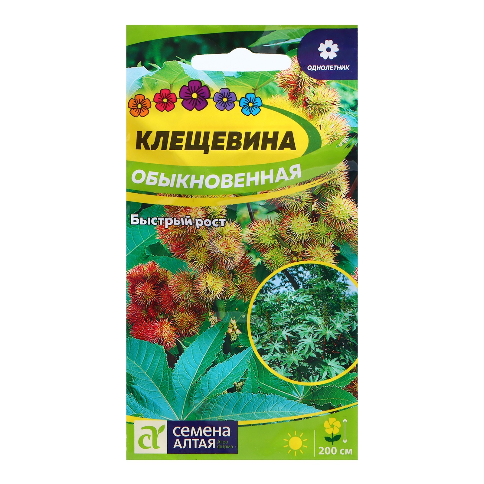 В 3 обыкновенные. В 3 обыкновенные. Сравнение десятичной и обыкновенной. Сравнение десятичной и обыкновенной. Преобразование бесконечной десятичной дроби в обыкновенную дробь.