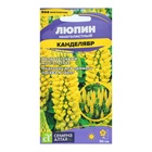 Семена Люпин "Канделябр", ц/п, 0,3 гр. - Фото 5