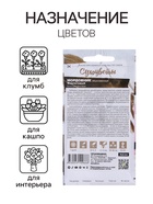 Семена цветов Мордовник «Фиолетовый обыкновенный», 0.2 г, многолетник, «Семена Алтая» 10216028