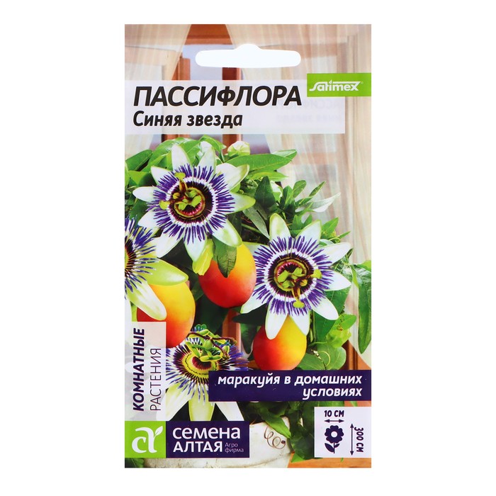 Семена Пассифлора "Синяя звезда", ц/п, 5 шт. - Фото 1
