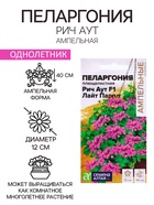 Семена Пеларгония "Рич Аут", ц/п, F1 ,3 шт. НОВИН - Фото 1