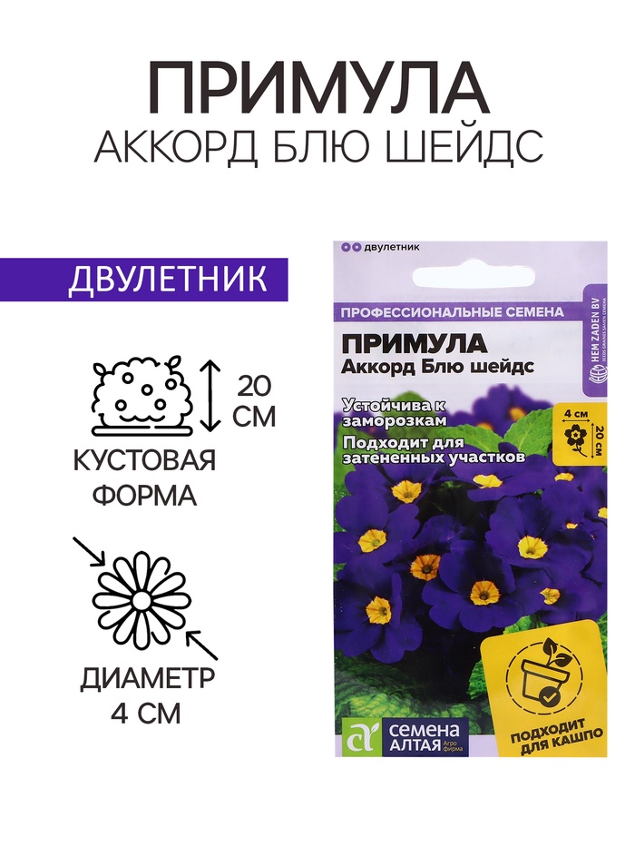 Семена Примула "Аккорд Блю шейдс", ц/п, 5 шт - Фото 1