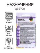 Семена Примула "Аккорд Блю шейдс", ц/п, 5 шт - Фото 3