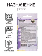 Семена Примула "Аккорд Вайт", ц/п, 5 шт - Фото 3