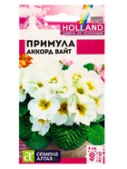 Семена Примула "Аккорд Вайт", ц/п, 5 шт - Фото 5