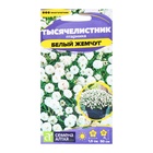 Семена Тысячелистник "Белый жемчуг", ц/п,  0,05 гр. 10216071 - фото 16880525