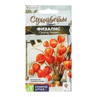 Семена Физалис "Граунд Черри", ц/п, 0,2 гр. - Фото 1